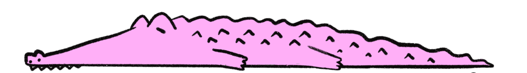 Contact Croc